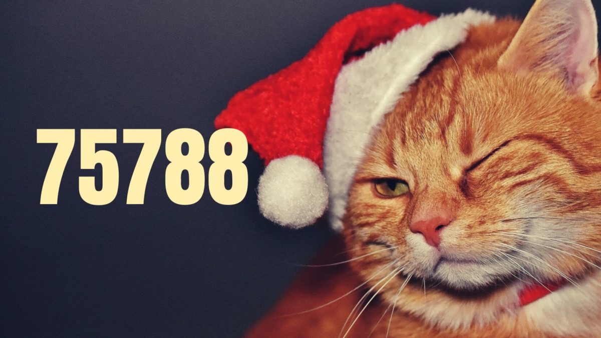 El número de la lotería de Navidad de 2023 es el 75788